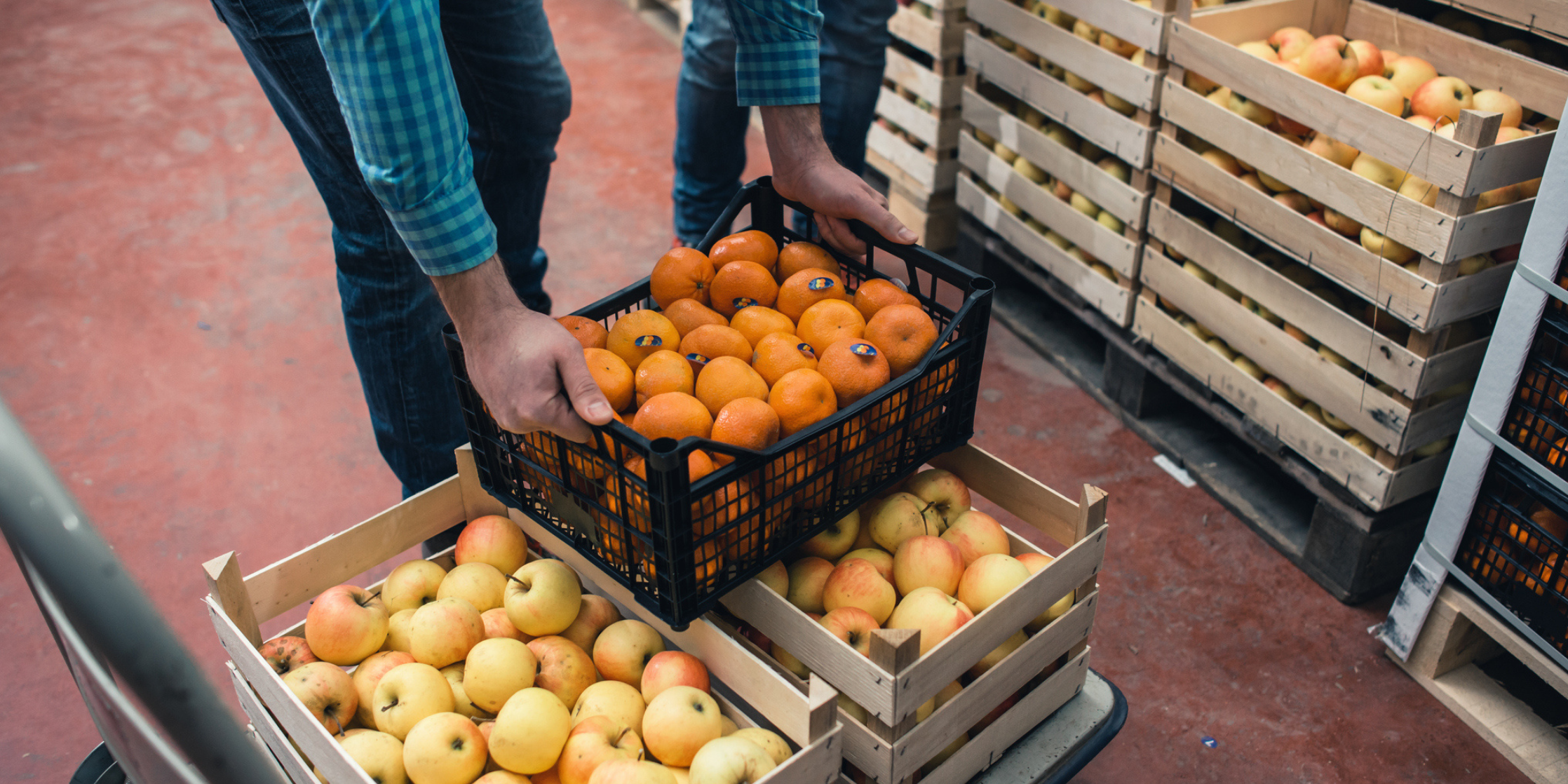 Person handling crates of oranges and apples in a warehouse setting