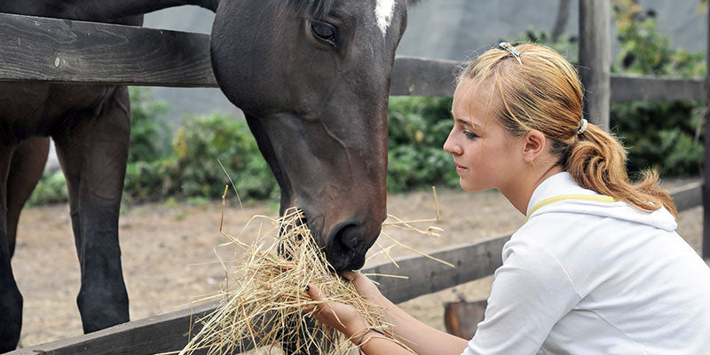 Orientation on Health and Safety for New Agricultural Workers