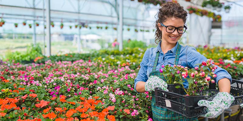 Image of a woman standing in a green house with a tray of flowers